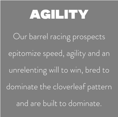 AGILITY Our barrel racing prospects epitomize speed, agility and an unrelenting will to win, bred to dominate the cloverleaf pattern and are built to dominate.